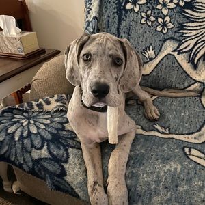 Meet your Posher, Keri